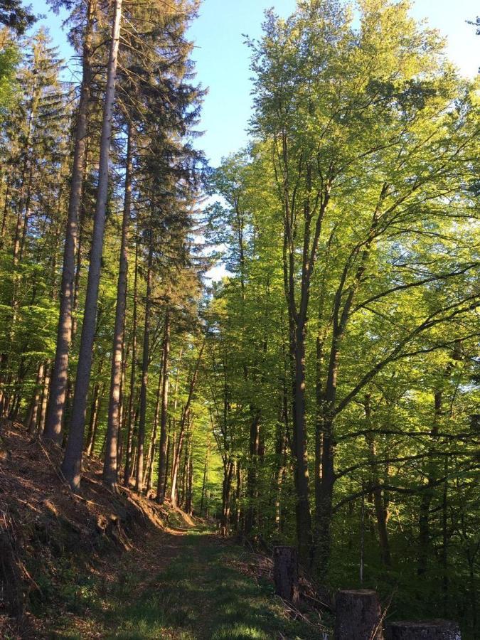 فندق Waldnest Odenwald المظهر الخارجي الصورة