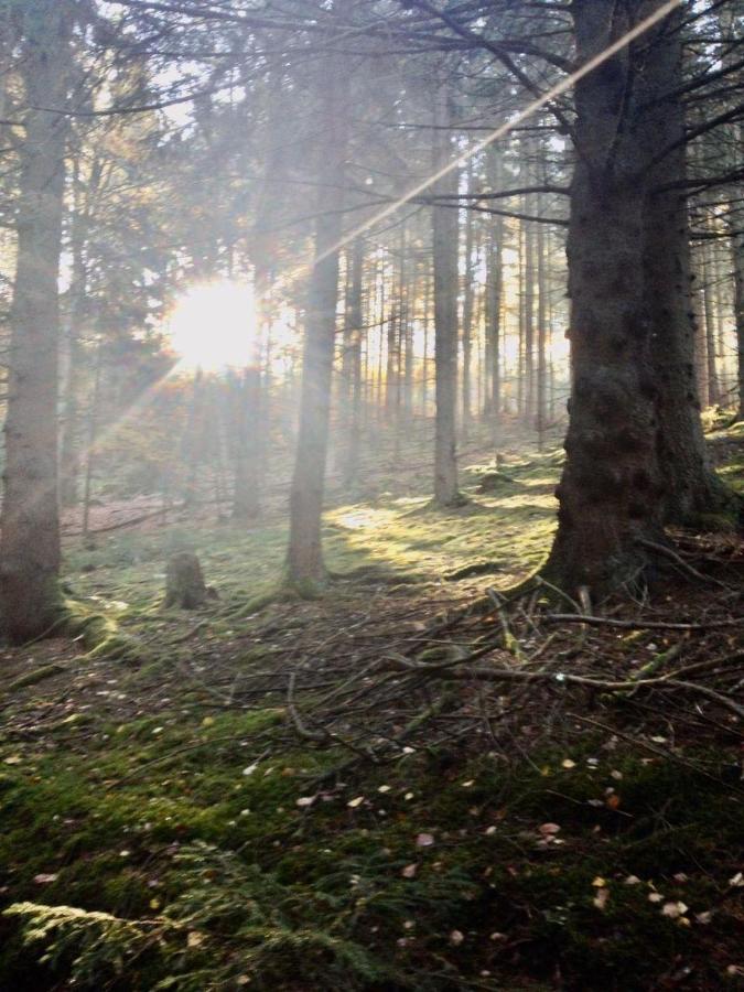 فندق Waldnest Odenwald المظهر الخارجي الصورة