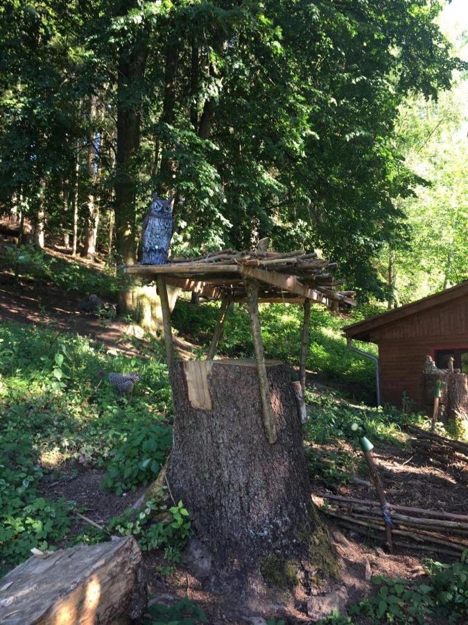 فندق Waldnest Odenwald المظهر الخارجي الصورة