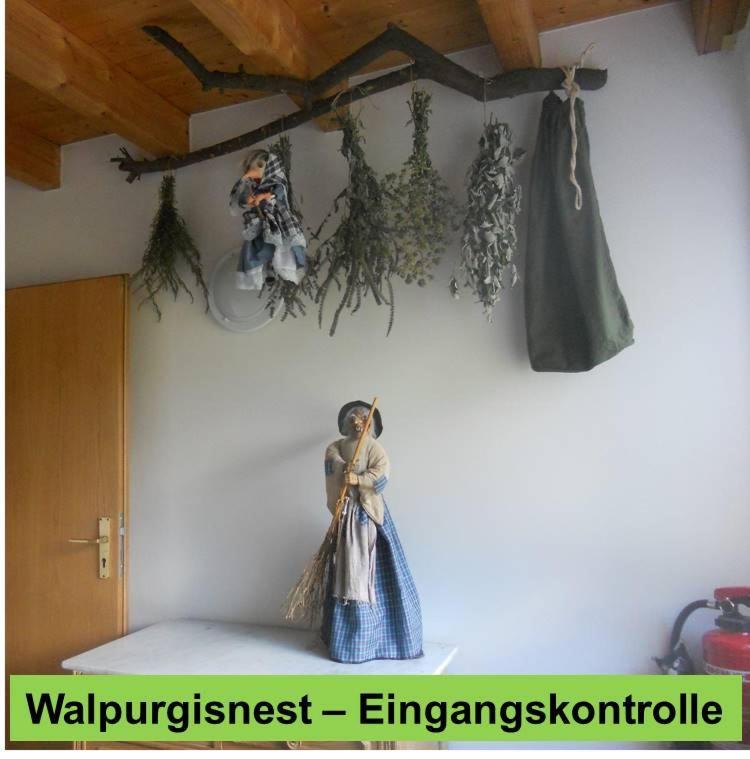 فندق Waldnest Odenwald المظهر الخارجي الصورة
